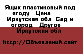 Ящик пластиковый под ягоду › Цена ­ 200 - Иркутская обл. Сад и огород » Другое   . Иркутская обл.